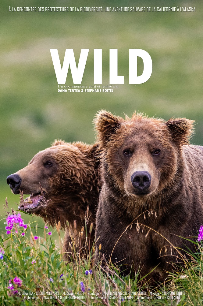 Affiche Wild Verticale