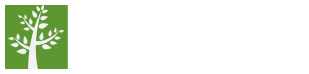 American Forest American Forest