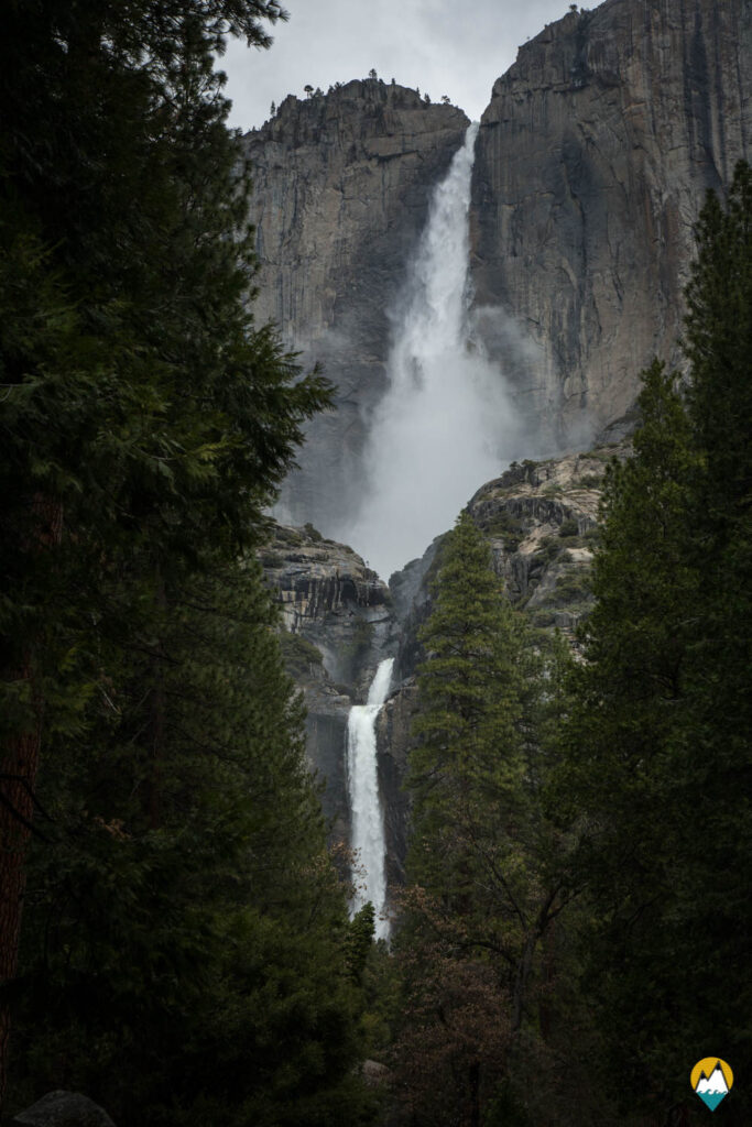 Wild - Yosemite- Le Monde de Tikal